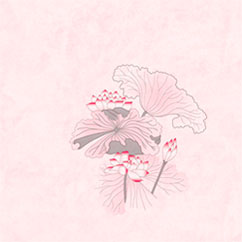 Розовая лилия